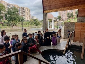 4Г и 4Д (23-24 г.)